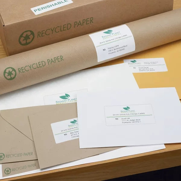 Avery&reg; TrueBlock&reg; Shipping Labels with Sure Feed&reg;, 2" x 4", White, 500 Blank Mailing Labels Total (2-Pack of 8163)