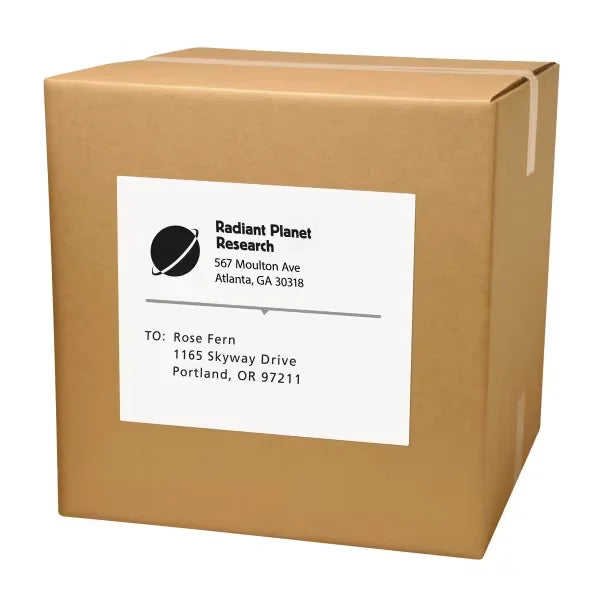 Avery&reg; Shipping Labels for Copiers, 8-1/2" x 11", 100 White Labels (5353)