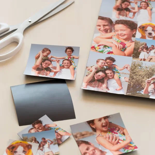 Magnet Sheets, 8-1/2" x 11", Inkjet Printers, 2 Packs, 10 Matte White Magnetic Sheets (5814)